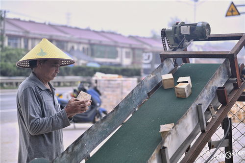 废 料变宝巧增收